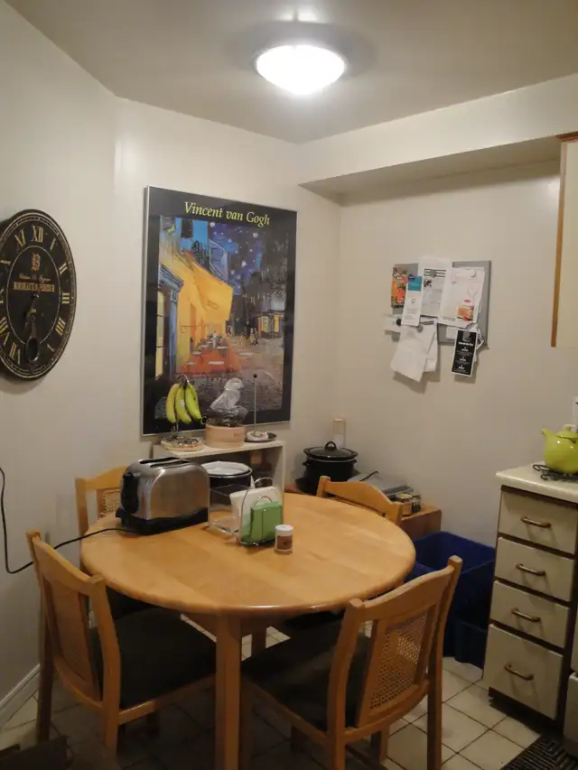 Spacious 1 Bedroom Condo Apartment - Photo 8
