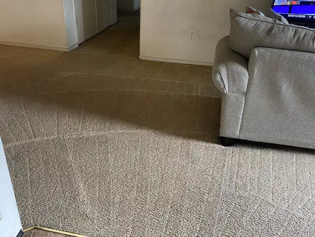 Professional Carpet And Sofa Cleaning In GTA - Photo 2