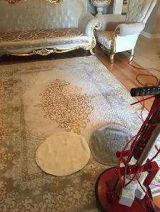 Professional Carpet And Sofa Cleaning In GTA - Photo 4