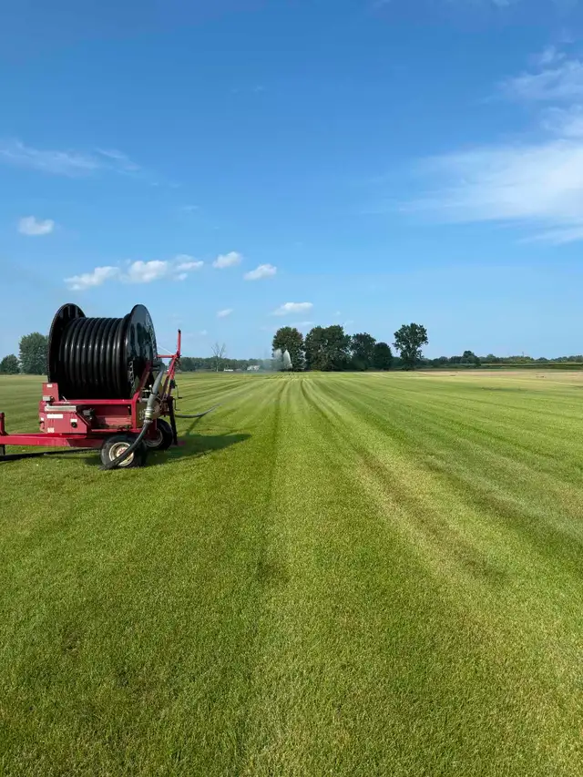 FARM FRESH SOD AVAILABLE - Photo 3