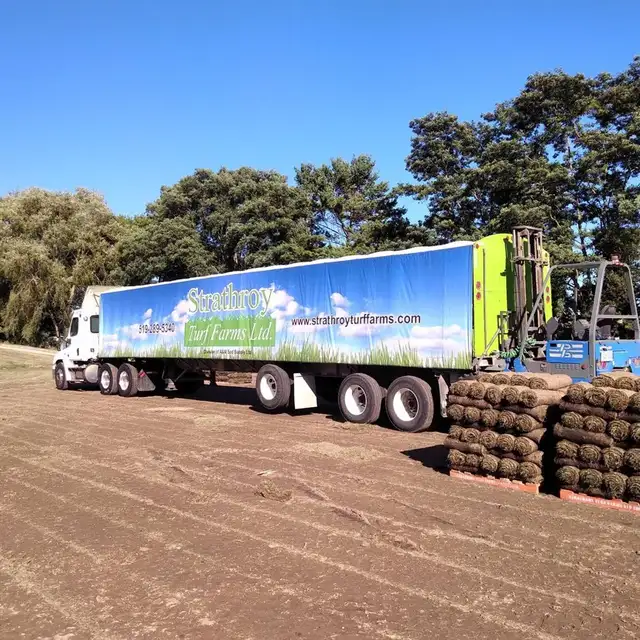 FARM FRESH SOD AVAILABLE - Photo 4