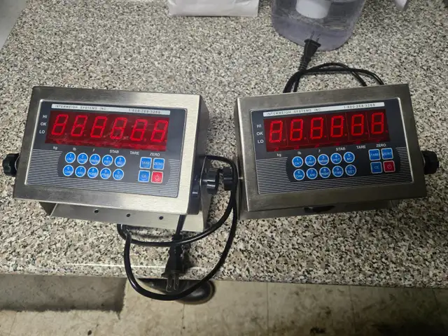 Scale Indicator - Photo 2