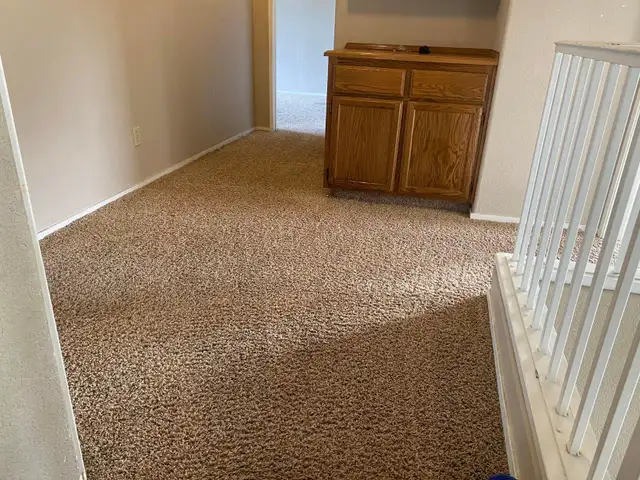 Let's Get Your Sofa & Rug Cleaning Done In Reasonable Price - Photo 3