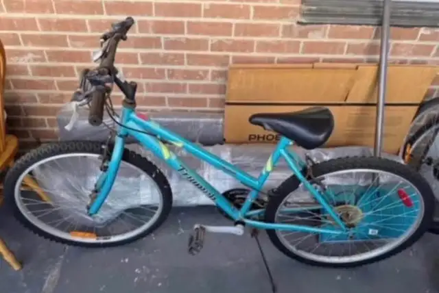 Triumph Mountain Bike