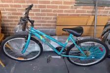 Triumph Mountain Bike