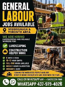 Looking For General Labor Immediately