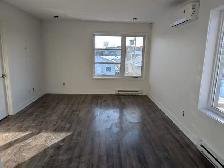 LONGUEUIL SUPER 4 1/2 RENOVE AVEC STATIONNEMENT $1795 DISPO - Photo 8