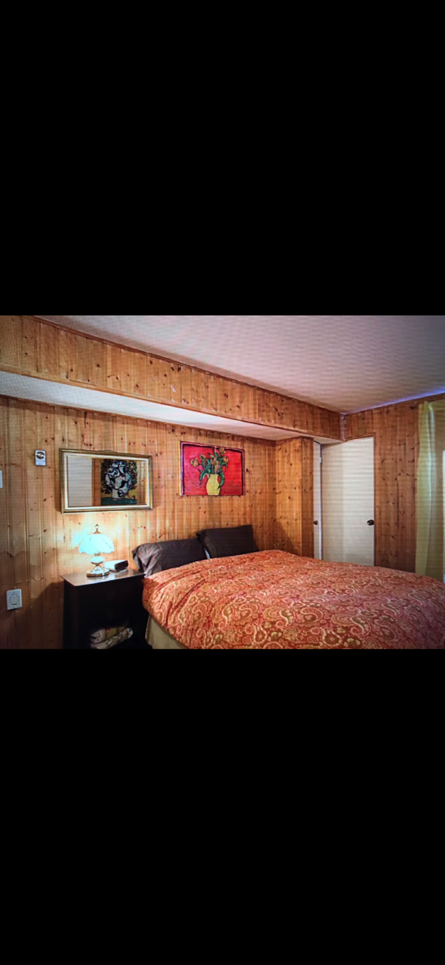 Un spacieux 4 1/2 chauffage et électricité inclus$1,375 - Photo 3