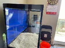 AQUARIUM TANK For SALE COMBO