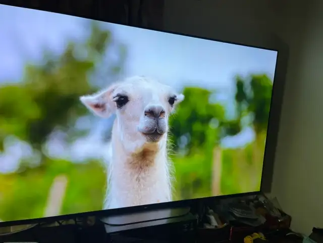 Samsung 4K smart tv like new 50 inches - Photo 2
