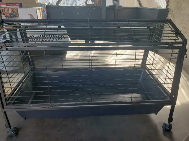 Rabbit cage