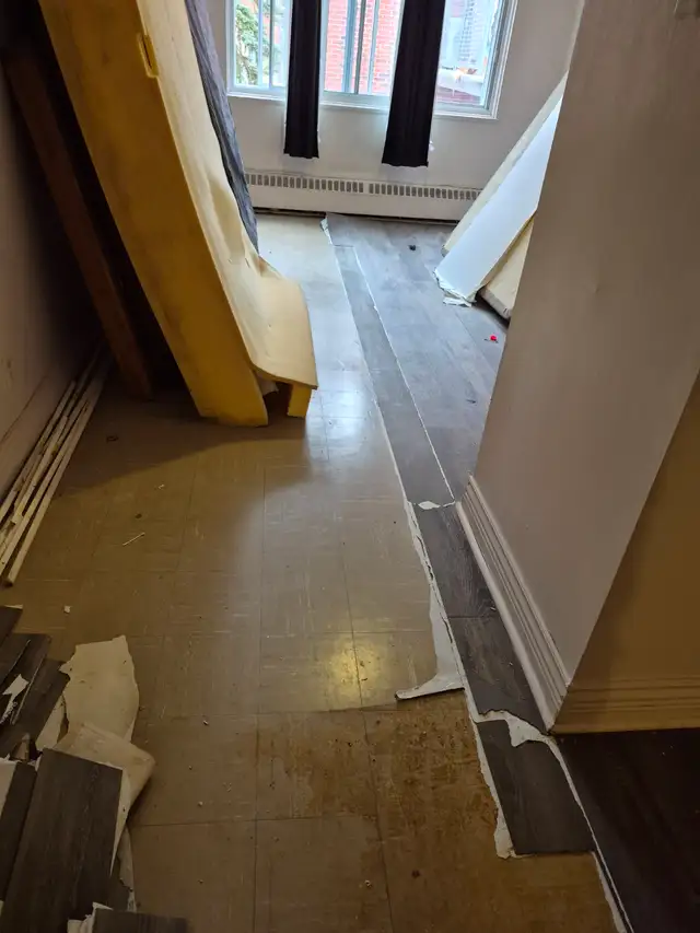 Junk Removal & Disposal Services – Laval Area - Photo 2