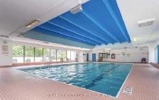North York apartment for rent.‼️ | Finch Avenue E and Don Mills - Photo 3