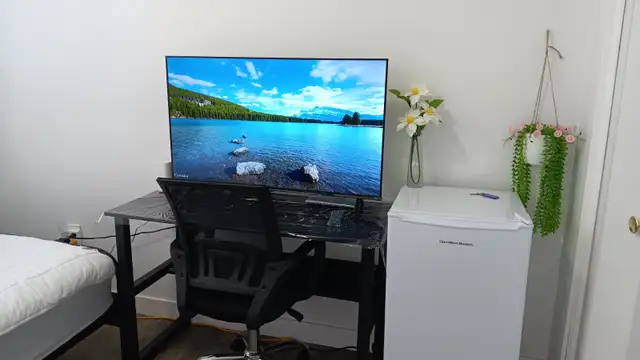 $690/MONTH: FULLY FURNISHED A ROOM FOR RENT - Photo 3