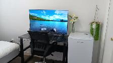 $690/MONTH: FULLY FURNISHED A ROOM FOR RENT - Photo 3