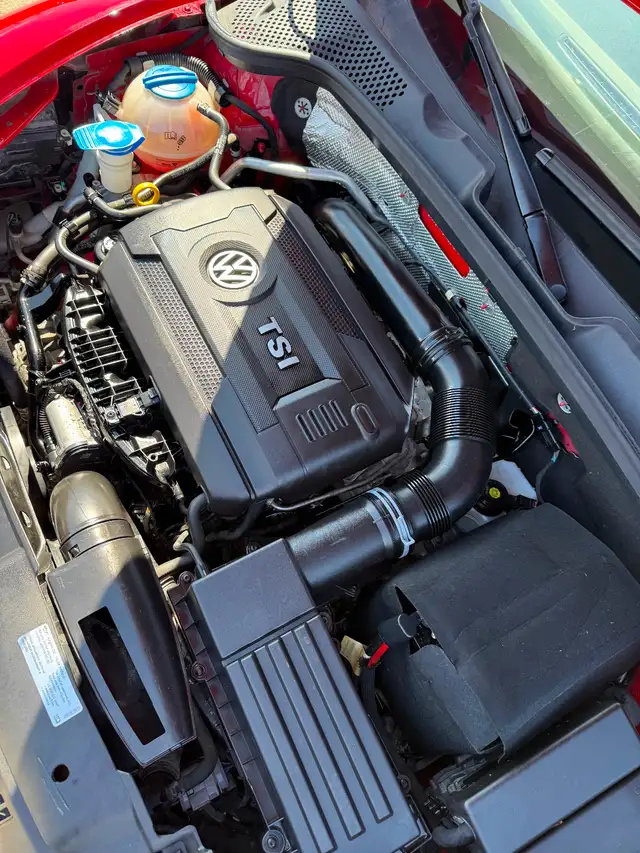 2015 Volkswagen Beetle (Low KM, Fresh Safety, 2 Tire Sets incl) - Photo 4