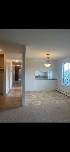 Spacious Apt for Rent - Mirror,AB