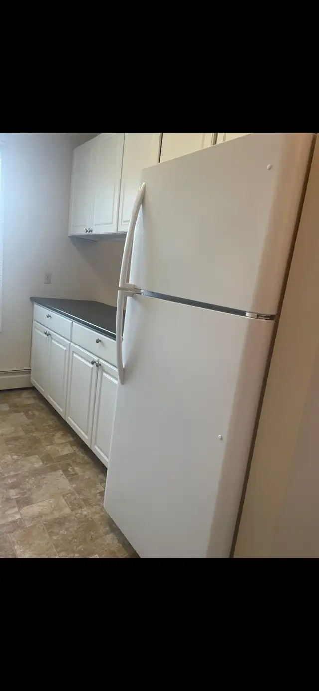 Spacious Apt for Rent - Mirror,AB - Photo 3