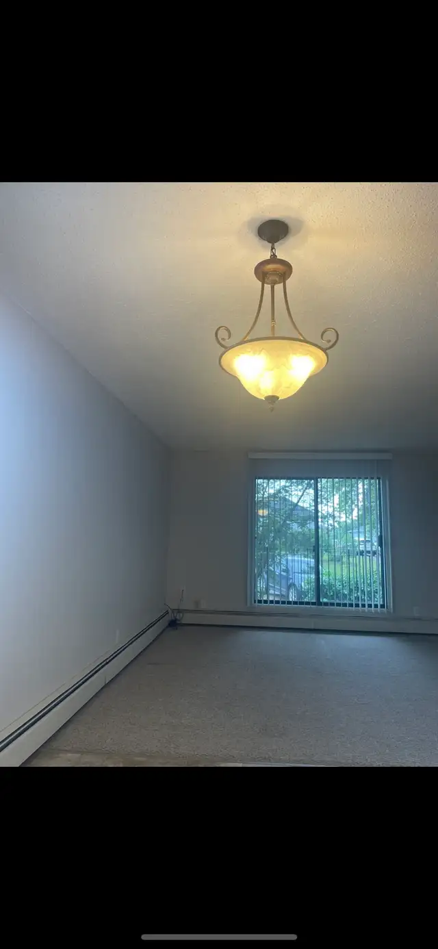 Spacious Apt for Rent - Mirror,AB - Photo 4