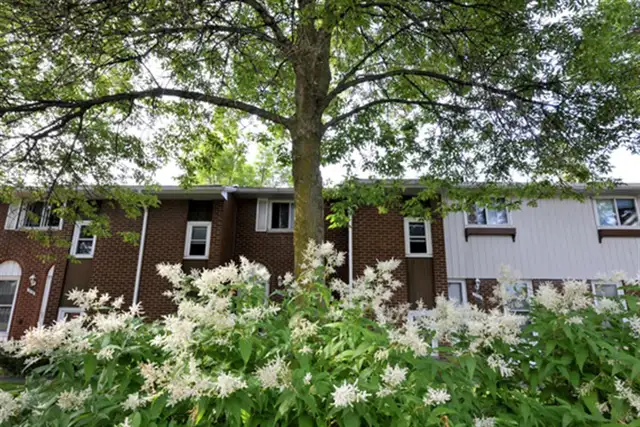 June 1st ~ 2 BEDROOM GARDENHOME ~ $1,999.00 - Photo 3