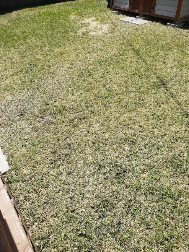 Yard work today 15 per hr