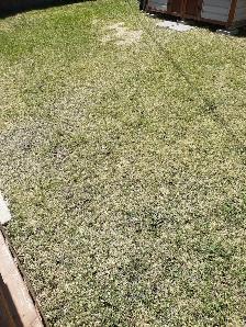 Yard work today 15 per hr