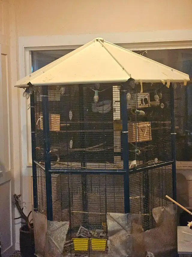 Italian Bird Cage with 3 FREE Birds!! EVERYTHING MUST GO!