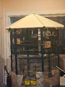 Italian Bird Cage with 3 FREE Birds!! EVERYTHING MUST GO!