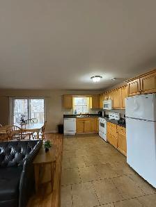 Spacious 2 Bedroom Apartment Downtown with Laundry