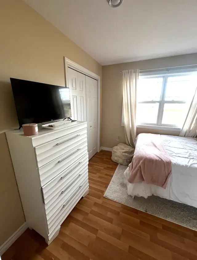 Spacious 2 Bedroom Apartment Downtown with Laundry - Photo 4