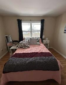 Spacious 2 Bedroom Apartment Downtown with Laundry - Photo 5