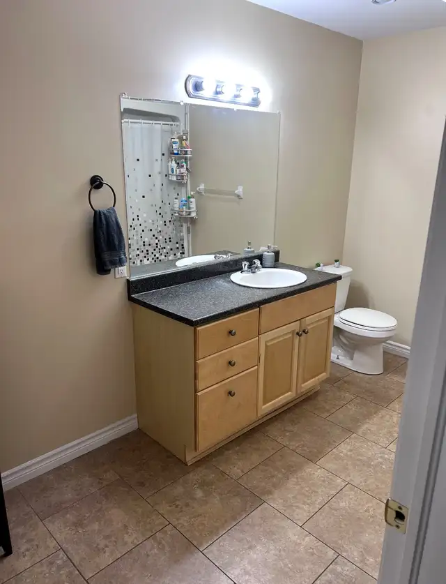 Spacious 2 Bedroom Apartment Downtown with Laundry - Photo 6