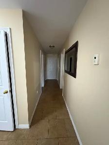 Spacious 2 Bedroom Apartment Downtown with Laundry - Photo 9