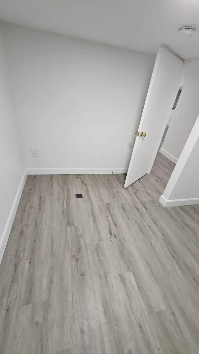 Beautiful 2 bedrooms, 1 bath lower level unit - utility included - Photo 3