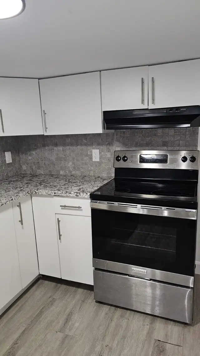 Beautiful 2 bedrooms, 1 bath lower level unit - utility included - Photo 7