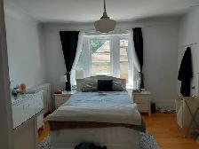 LARGE APARTMENT IN SANDY HILL - OTTAWA - Photo 4