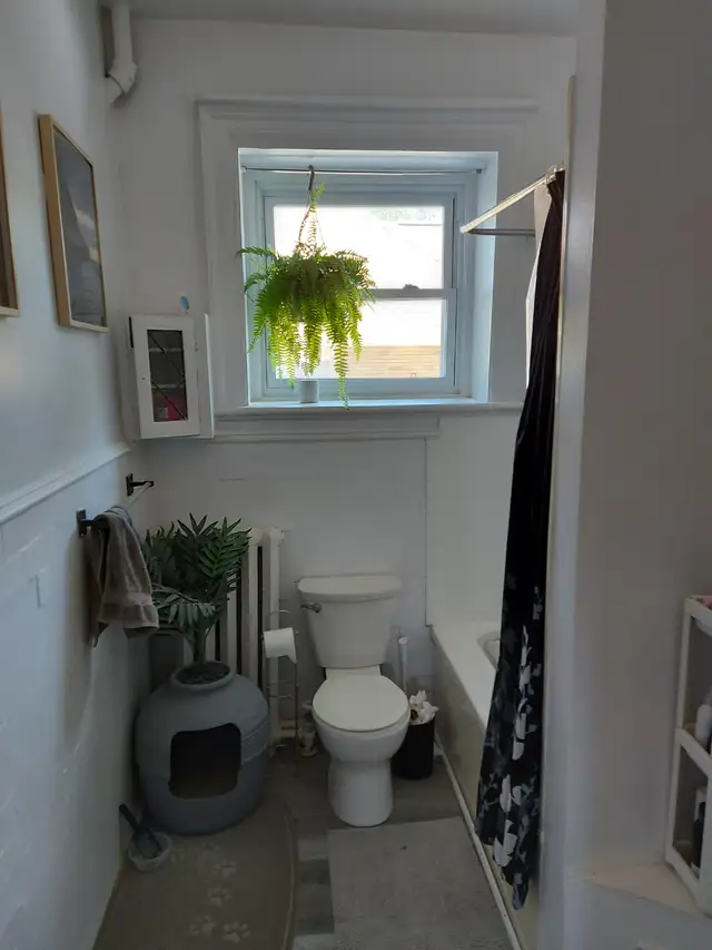 LARGE APARTMENT IN SANDY HILL - OTTAWA - Photo 5
