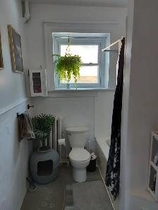LARGE APARTMENT IN SANDY HILL - OTTAWA - Photo 5