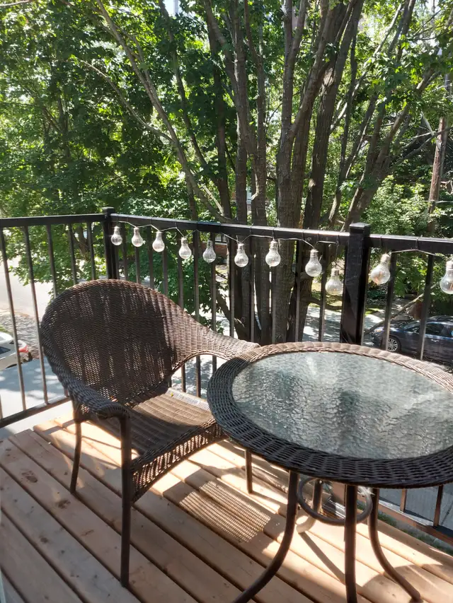 LARGE APARTMENT IN SANDY HILL - OTTAWA - Photo 8