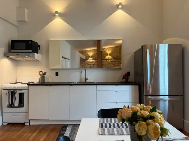 1 BR - Exposed Brick, High Ceilings, Fully Furnished - Cargill - Photo 2