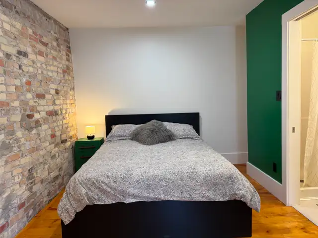 1 BR - Exposed Brick, High Ceilings, Fully Furnished - Cargill - Photo 5