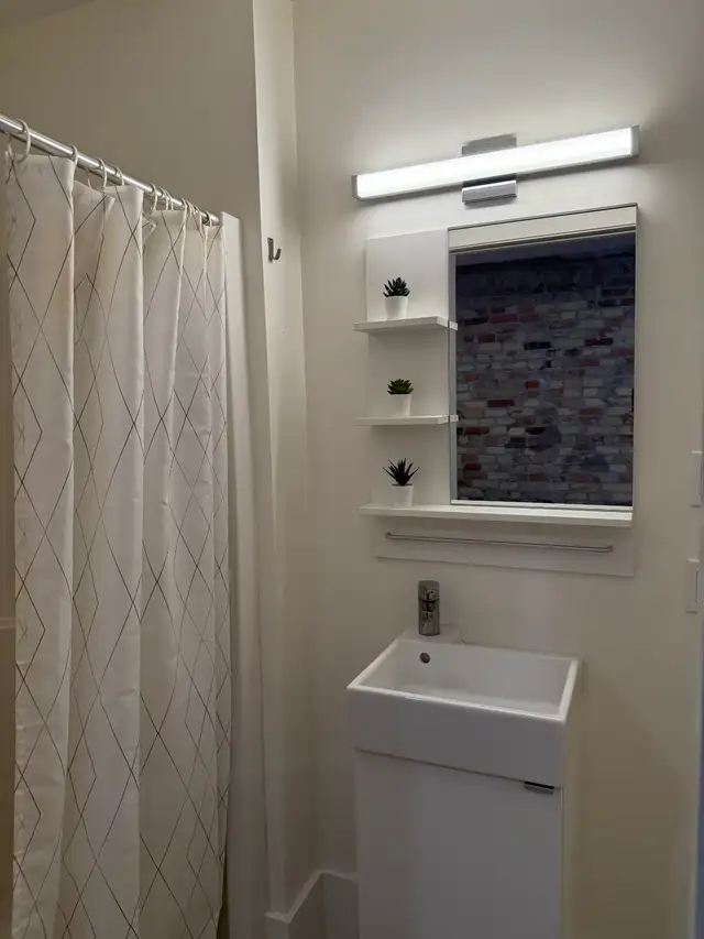 1 BR - Exposed Brick, High Ceilings, Fully Furnished - Cargill - Photo 6