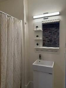 1 BR - Exposed Brick, High Ceilings, Fully Furnished - Cargill - Photo 6