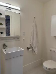 1 BR - Exposed Brick, High Ceilings, Fully Furnished - Cargill - Photo 7