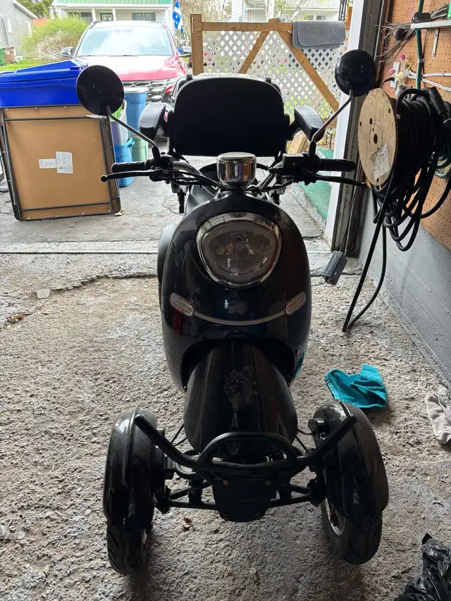 Quadriporteur - Photo 2