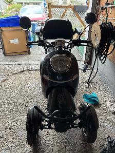 Quadriporteur - Photo 2