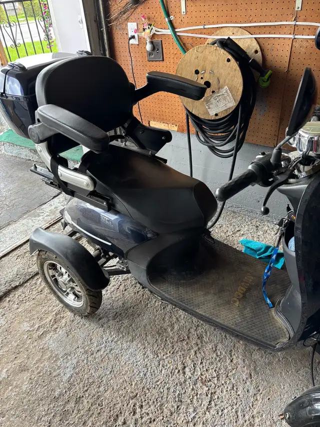 Quadriporteur - Photo 3