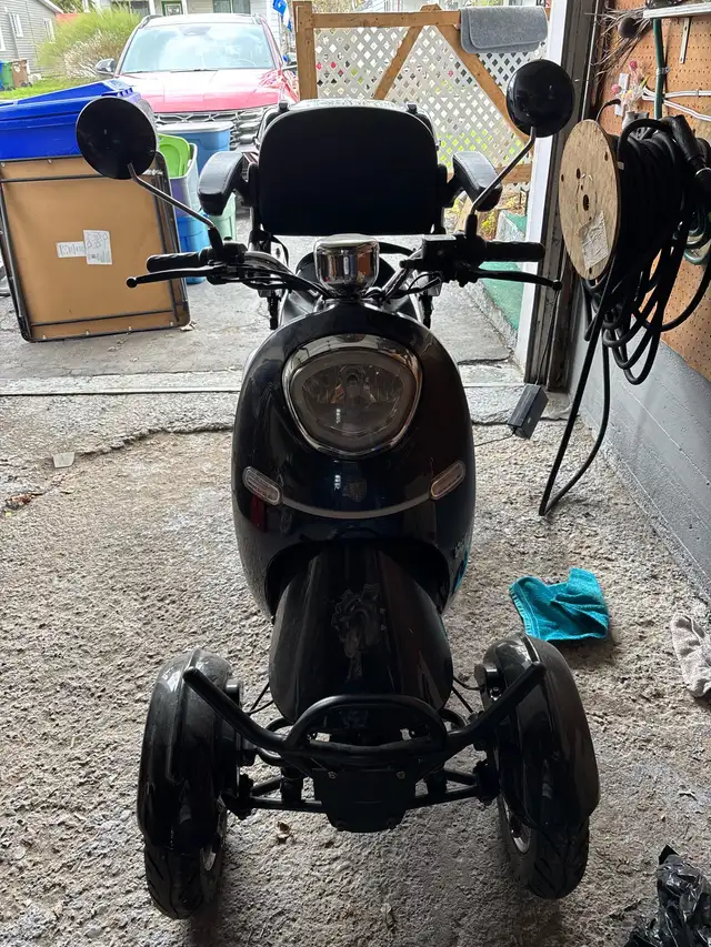 Quadriporteur - Photo 4