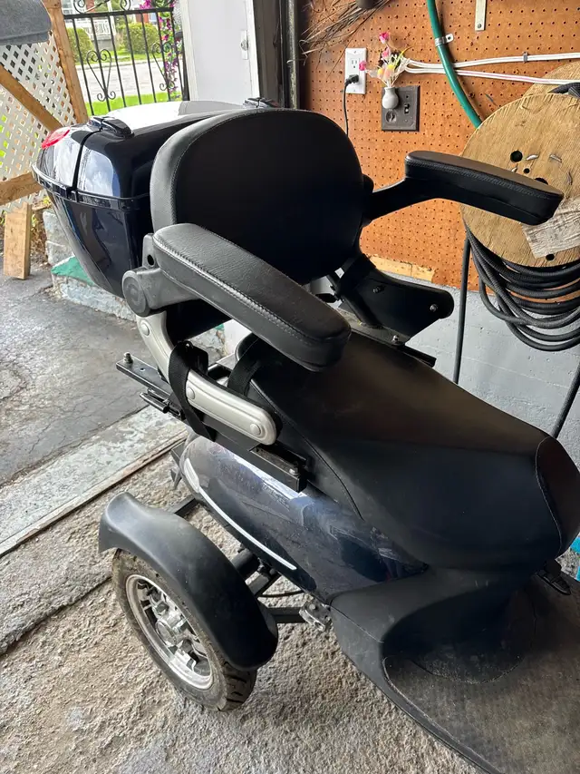 Quadriporteur - Photo 7