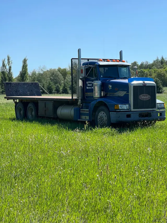 1989 Peterbilt 379 flat deck tandem - Photo 2